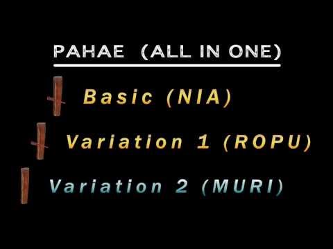 PAHAE-ALL IN ONE