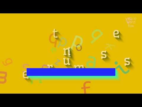 TERMINUSES - HOW TO PRONOUNCE IT?