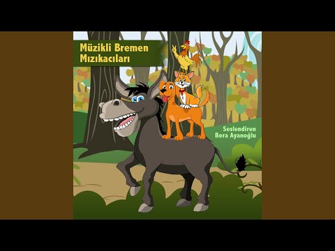 Bremen Mızıkacıları