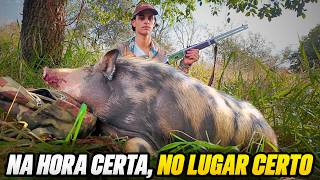 DIA DE GIGANTES | JAVALI BRASIL