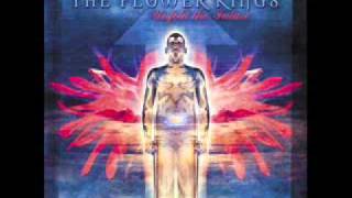 The Flower Kings - The Truth Will Set You Free