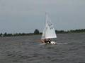 Sailing an FJ in strong winds in alkmaar 