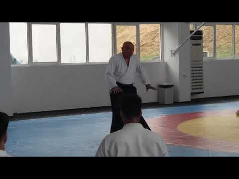 Seminar in Varna 15-17.06.2017 - Michele Quaranta - Video 11