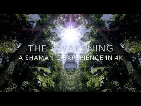 The Awakening: A Shamanic Experience in 4K - Ayahuasca Icaro clip