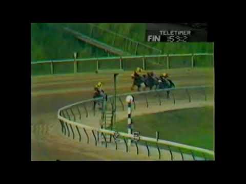 VERSET'S DANCER - Vence A Hurly Road - 1983