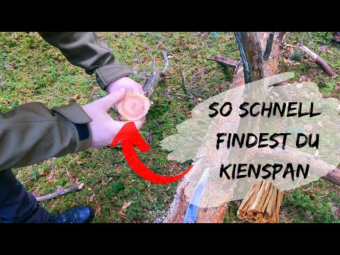So schnell findest du Kienspan !!! / Kienholz / Firesticks / Bushcraft / Survival / bushcraft_bayern