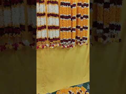 Green polyester gaja mala