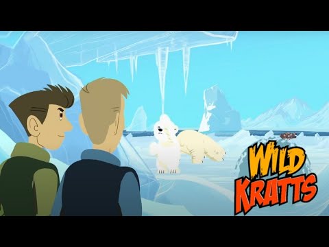 Wild Kratts Season 1 Episode 7 -- Polar Bears Don't Dance (Full Episode)