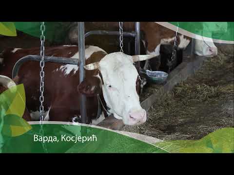 Naša priča 01.01.2026. NAJAVA