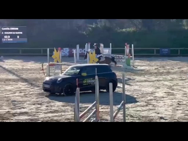 Poney D 10 ans &agrave; vendre ou &agrave; louer 