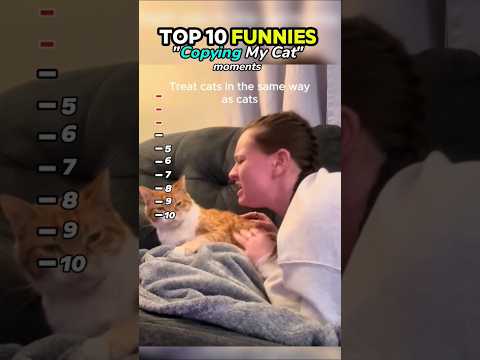 copying my cat   #angst   #copy