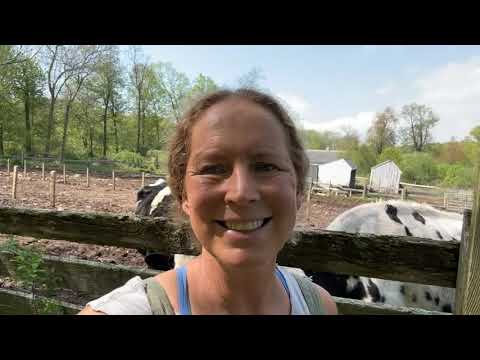 Yankee Farmwife - Found Fountain of Youth? 😅🤣