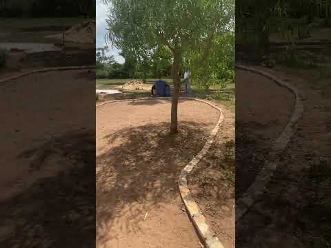 Hole 7 in construction at Del Rancho Miniature Golf in Loma Grande, Paraguay #lomagrande