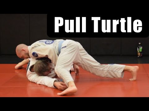 Pull Turtle To Escape