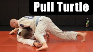 Pull Turtle To Escape