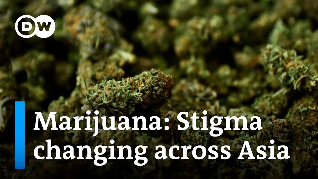 Why some countries are legalizing marijuana | DW News