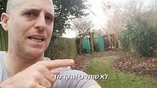 איך שומרים על צמחים כשבחוץ קר מדי