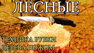 Как срубить дерево ножом | How To Cut Down a Tree With a Knife