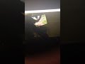 Angry Grandpa Smashes Hdtv