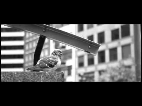 Regal x Marian - Alienacja (Mash-up Video) HD [2013]
