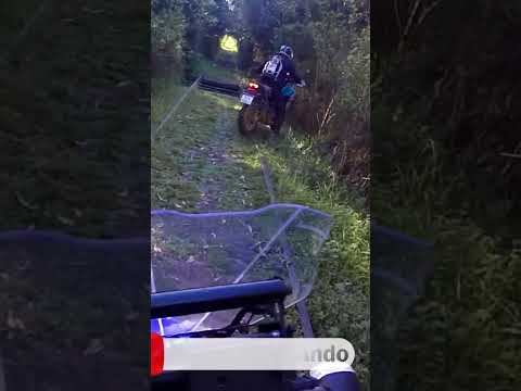 "OFF ROAD"  CF 450MT y XTZ 250 ABS #CFMoto450MT #xtz250 #perfectodesorden