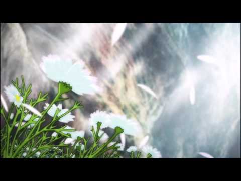 Bones & Vegard Veslelia - PlantsInTheVase