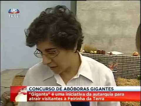 I CONCURSO ABOBORAS (2011)