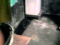 Our Dog