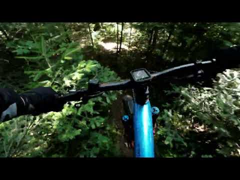 MTB trail-Gindelalm