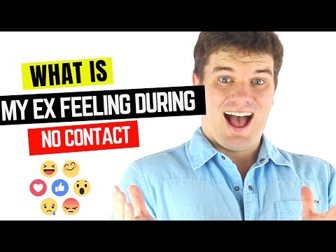What Your Ex Actually Feels During The No Contact Rule?