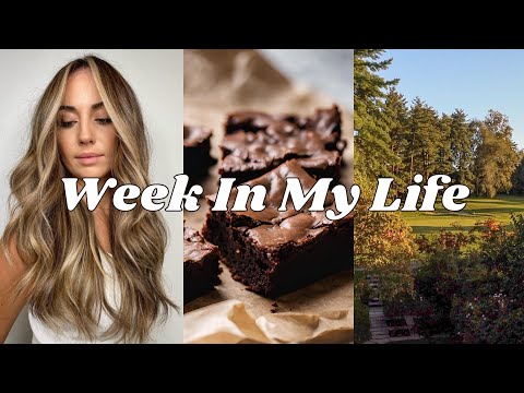 Visa appointment, new hair, house hunting updates | A...