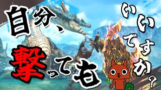 【チャアク】あの…次の武器調整は...いつですか？【モンハンワイルズ】