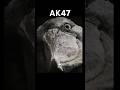 Bird AK 47 Gun Sound ️ ️ Shortsfeed Fyp Viralshorts
