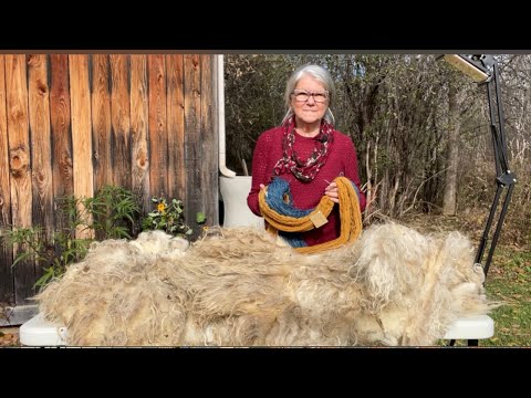 , title : 'Comment transformer la toison du mouton en textile ?'