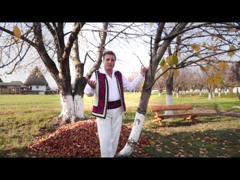 Constantin Enceanu   Dor mandruta cand aveam