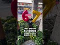 6 7 Niche Song Shorts Memes Brainrot Surreal