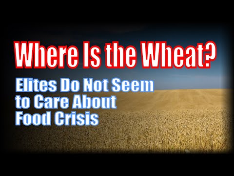 Why Does Ukraine Not Manage to Export the 2021 Wheat Harvest?