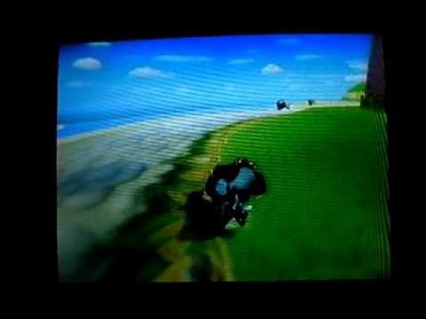 [MKWii WR] GCN Peach Beach glitch flap 16.744