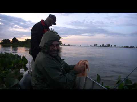 Soltando o Pintadinho.MP4