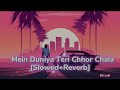 Mein Duniya Teri Chhor Chala Slowed Reverb SK Lofi Bewafasanam Sonunigam