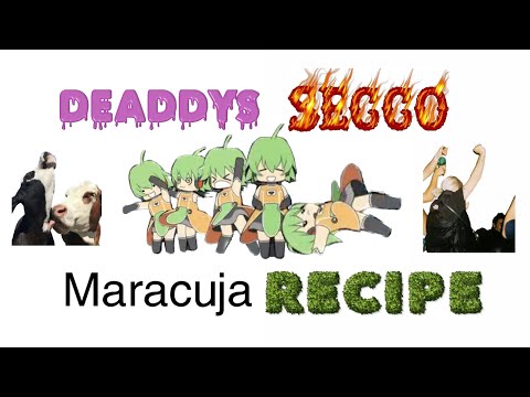 Deaddys Secco Maracuja Recipe ;P (BHZ Remix) | (Visualizer)