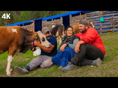 Mother on the Mountain and Her Shepherd Sons | Documentary-4K