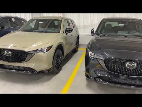 Carbon turbo vs prem turbo Bernie