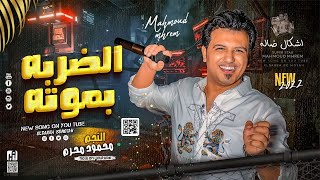 مهرجان اشكال ضاله محمود محرم