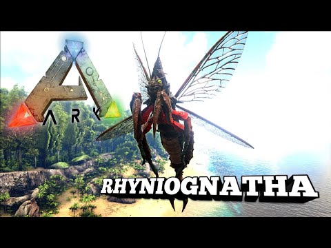 Taming A Rhyniognatha | Ark Survival Evolved | The Island