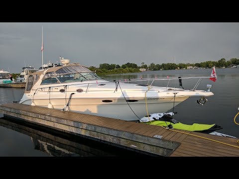 Our First Boat Trip On The New Boogaboo - Sea Ray Sundancer
