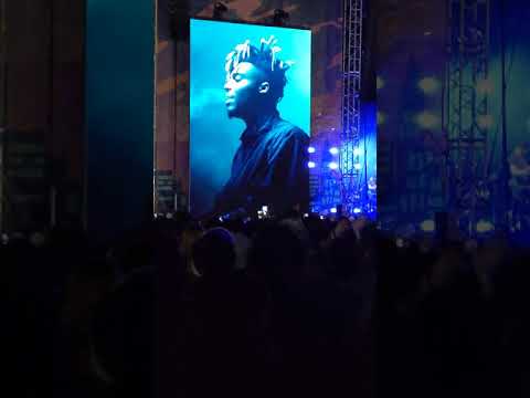 Ellie Goulding - Hate Me (including Juice WRLD's part) @ Gov Ball 2021