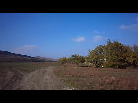 satul Brejeni (raionul Singerei,Moldova)
