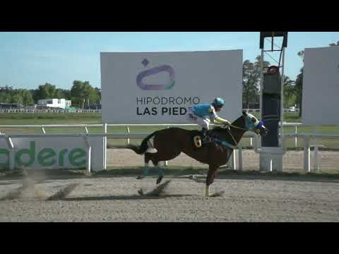 221111 c03 - AMBASSADEUR - HIPODROMO LAS PIEDRAS