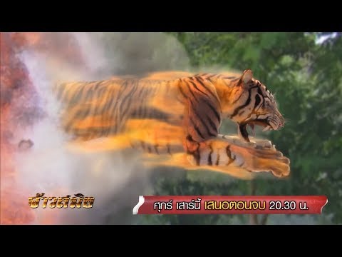 คลิกเพื่อดูคลิปวิดีโอ
